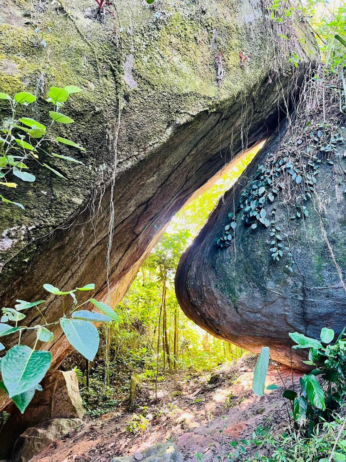 Pousada E Restaurante Alto Da Serra Bonito  Bagian luar foto