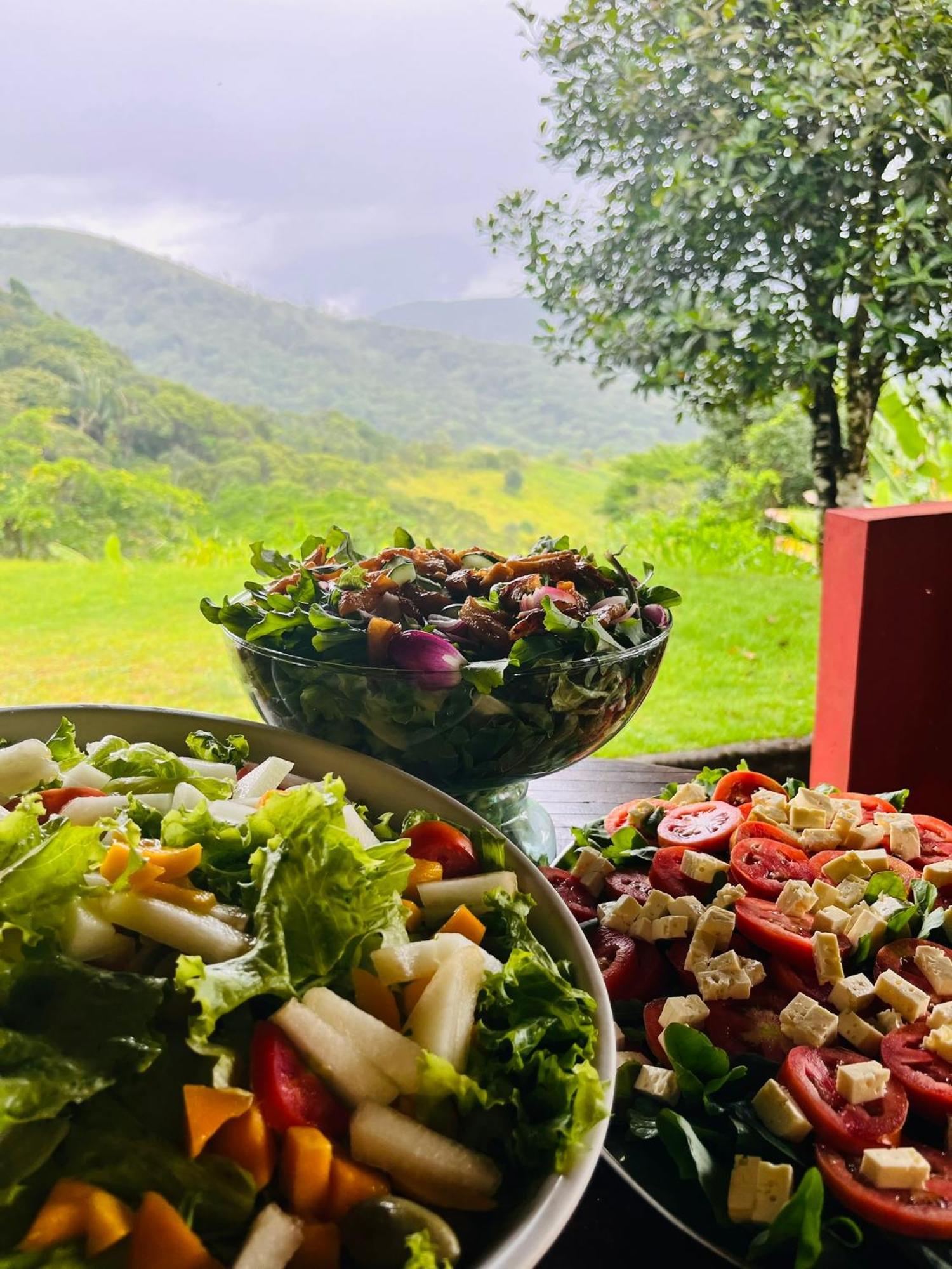 Pousada E Restaurante Alto Da Serra Bonito  Bagian luar foto